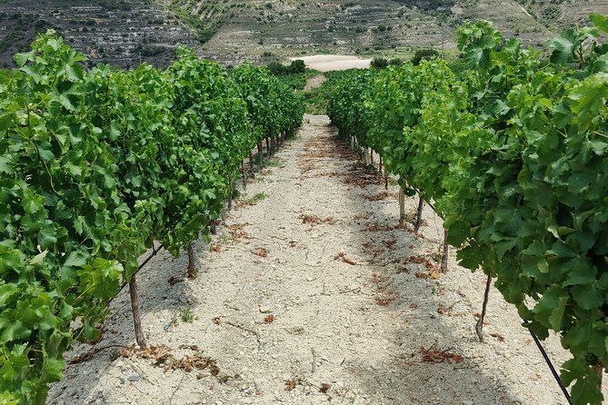 Troodos Mountains Grape Escape: All Inclusive Food & Wine Tour - Omodos village time plus Timios Stavros Monastery and the Struggle Museum