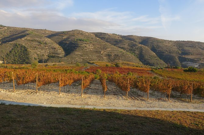 Troodos Mountains Grape Escape: All Inclusive Food & Wine Tour - The surprise bonus stop and scenic Troodos views on the route
