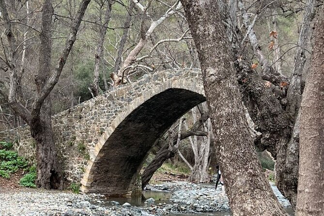 Troodos Mountains Jeep Tour with Wine Tasting - Key things that make this jeep and wine day work so well