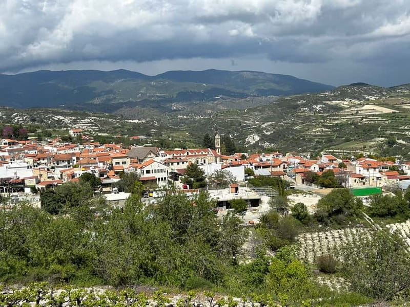 Troodos Mountains : private tour including a wine tasting - Linos Winery: blue wine tasting, plus Zirvania and classic grapes