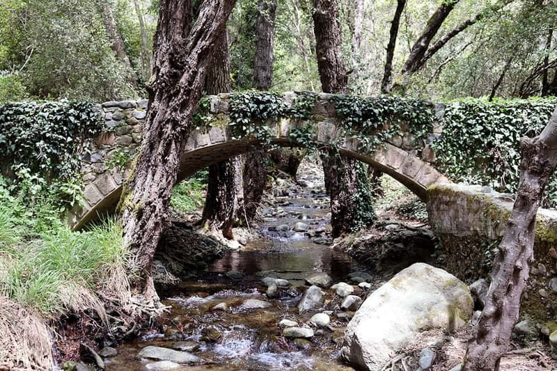 Troodos Mountains : private tour including a wine tasting - Who this Troodos Mountains tour fits best
