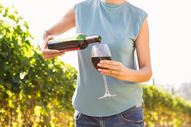 Troodos Mountains Vino Venture: All Inclusive Full Day Wine Tour - Key things I’d circle before you book