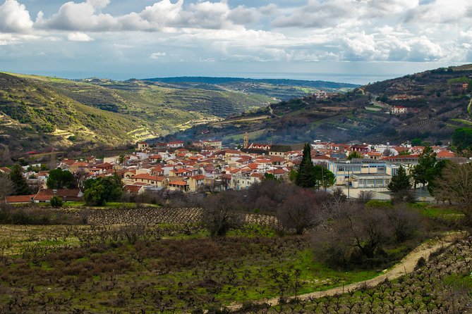 Troodos Mountains Vino Venture: All Inclusive Full Day Wine Tour - What you eat and how much you taste