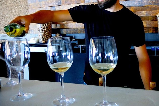 Troodos Mountains Vino Venture: All Inclusive Full Day Wine Tour - Price and logistics: why $142.71 can make sense