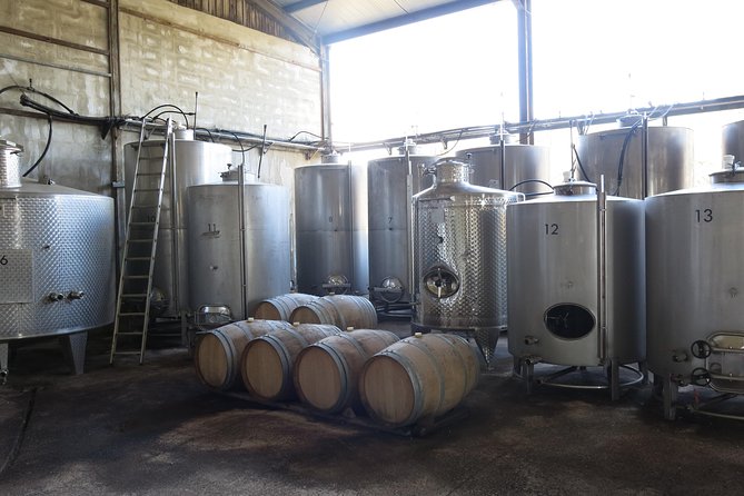 Troodos Mountains Vino Venture: All Inclusive Full Day Wine Tour - Entering Omodos Village: Craft Shops, Traditional Tastes, and Real Meze