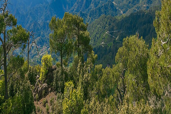 Troodos Peaks & Mountain Flavors Day Tour from Paphos - Dress code in the monasteries, and how to avoid last-minute stress