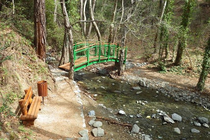 Troodos Walking Trip (Artemis+/Myllomeris Waterfalls) - The private guide plus hotel pickup is where the value shows up