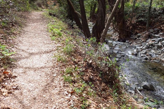 Troodos Walking Trip (Artemis+/Myllomeris Waterfalls) - Packing list: what I would bring for a comfortable Troodos day