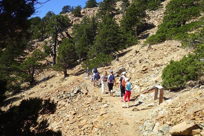 Troodos Walking Trip (Artemis+/Myllomeris Waterfalls) - Artemis Nature Trail: flat, high, and full of Cyprus plant and rock clues