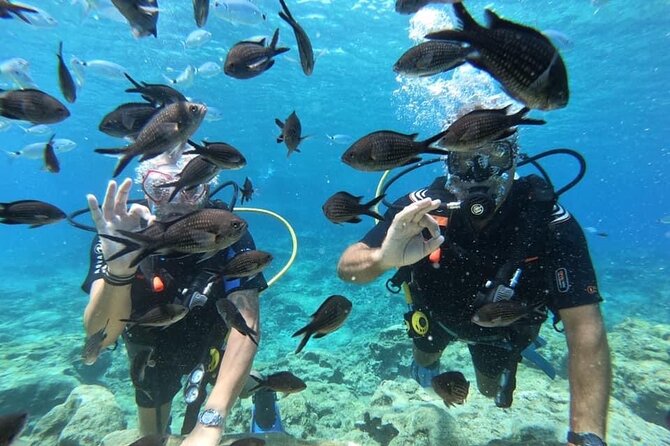 Try a Scuba Diving Experience - Photos and videos included: why this is real value, not just a perk