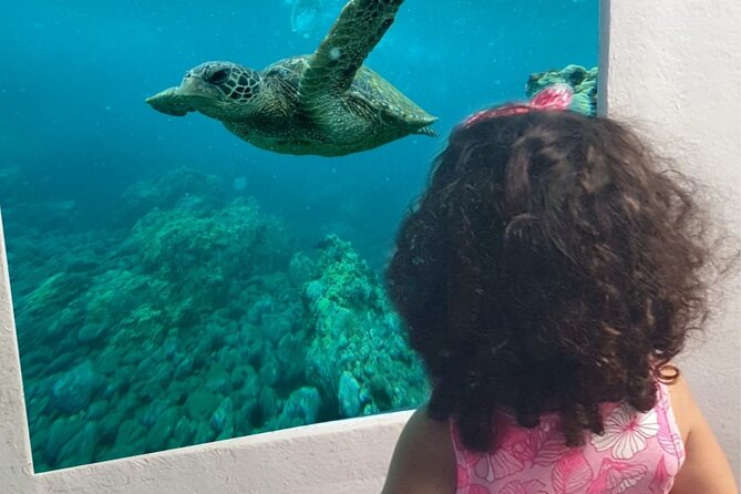 Yellow Semi Submarine Mini Cruise with a Swim Stop - Key Highlights You Should Know