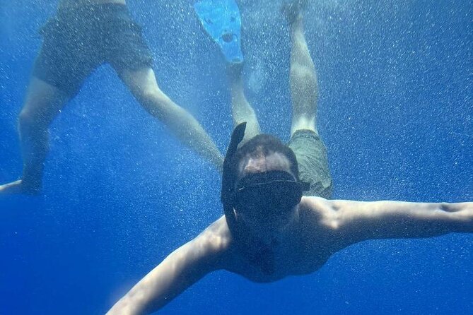 Yellow Semi Submarine Mini Cruise with a Swim Stop - Who Should Book This Yellow Semi-Submarine Mini Cruise