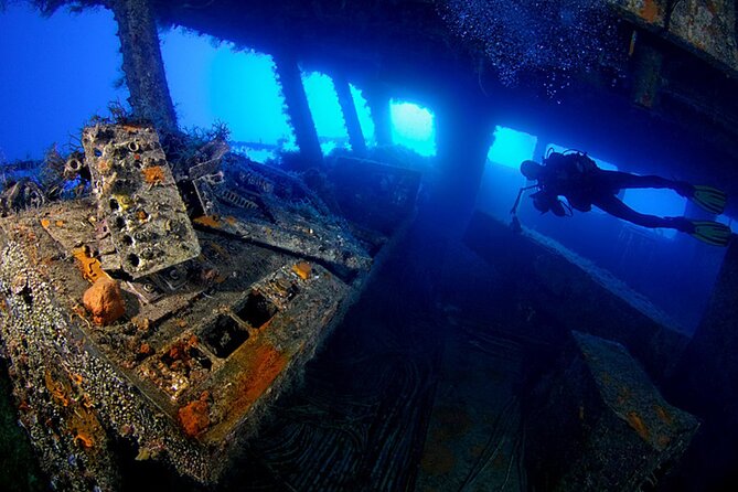 Zenobia Shipwreck Scuba Diving Trip 2x Dives - Key highlights to know before you go